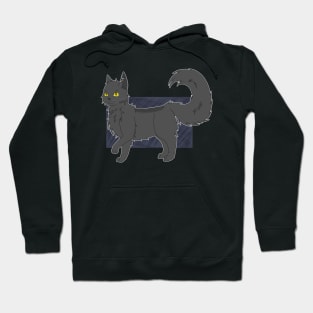 GreyStripe Hoodie